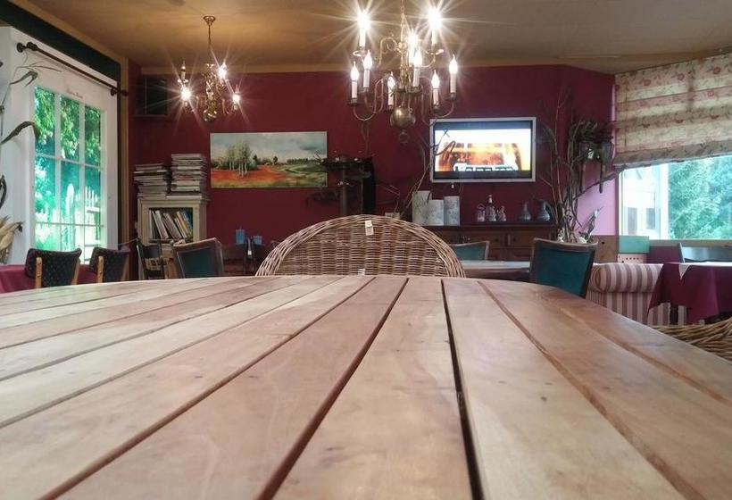 ベッドアンドブレックファースト Hof Van Sellingen