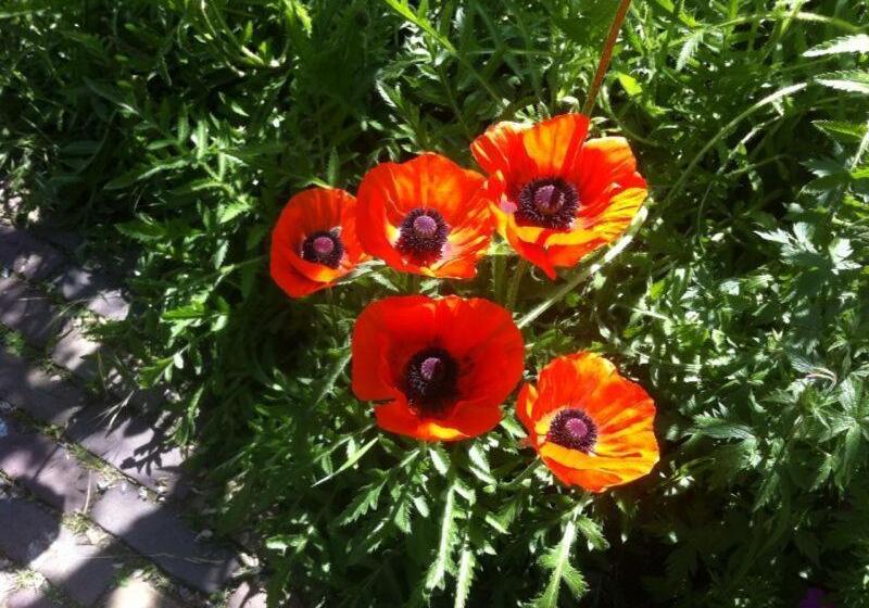 住宿加早餐 La Perchade