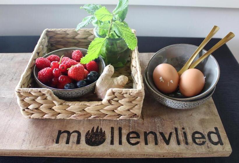 צימר Mollenvlied