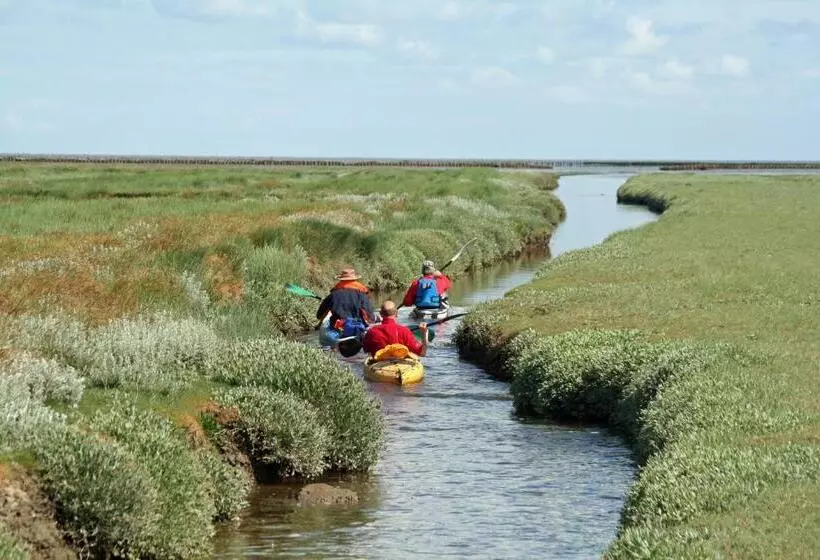 ベッドアンドブレックファースト Waddenhoes Gastenverblijven