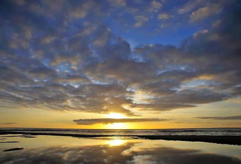 تختخواب و صبحانه Witte Weelde Texel