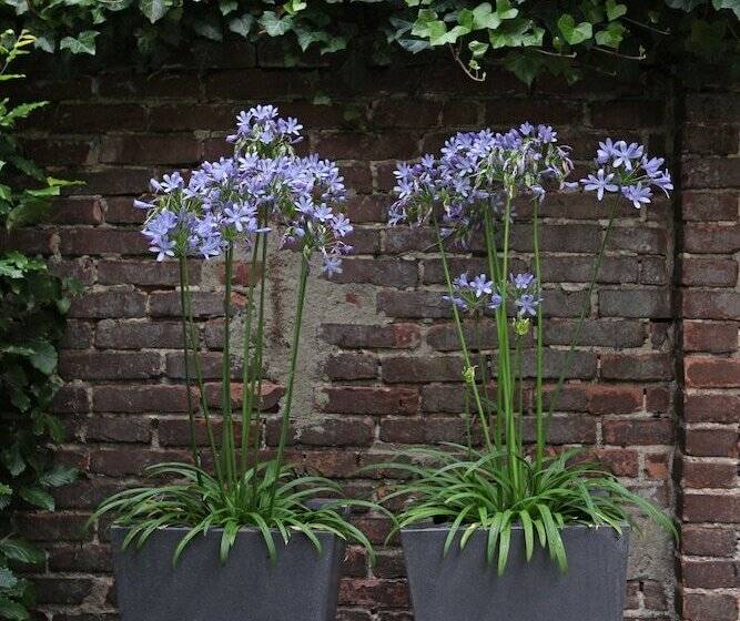 Boutique Hotel Straelman