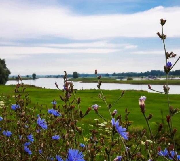 Deventer Heritage En Boutique B&b Museumhuis Huize De Worp