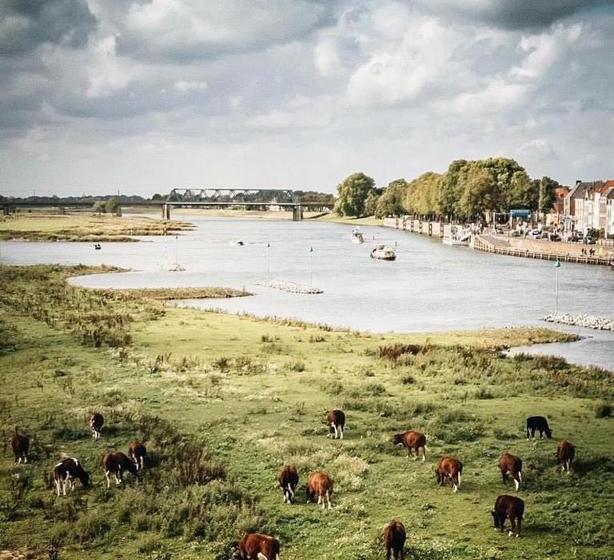 Deventer Heritage En Boutique B&b Museumhuis Huize De Worp