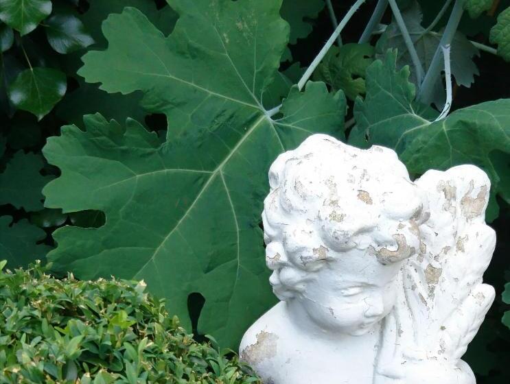 Deventer Heritage En Boutique B&b Museumhuis Huize De Worp