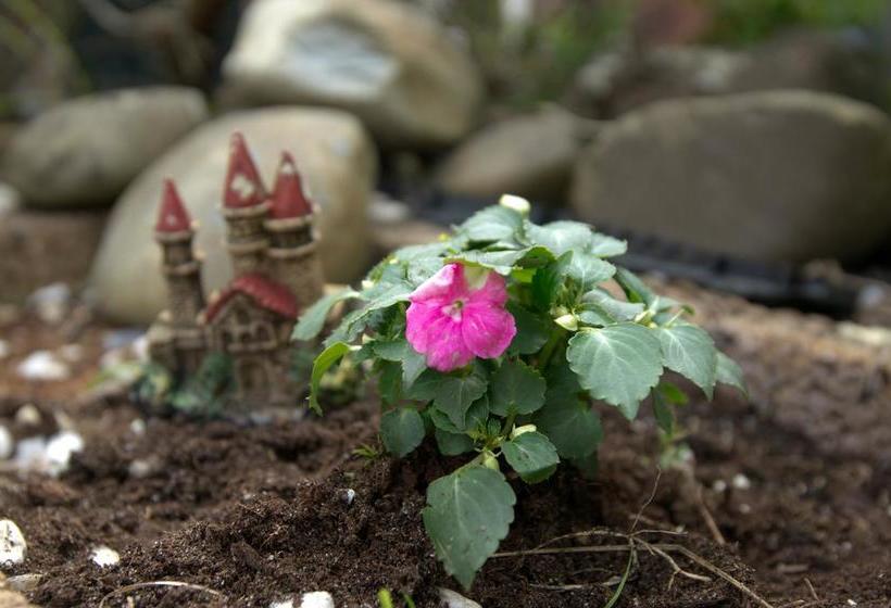 Отель B&b Posthoorn