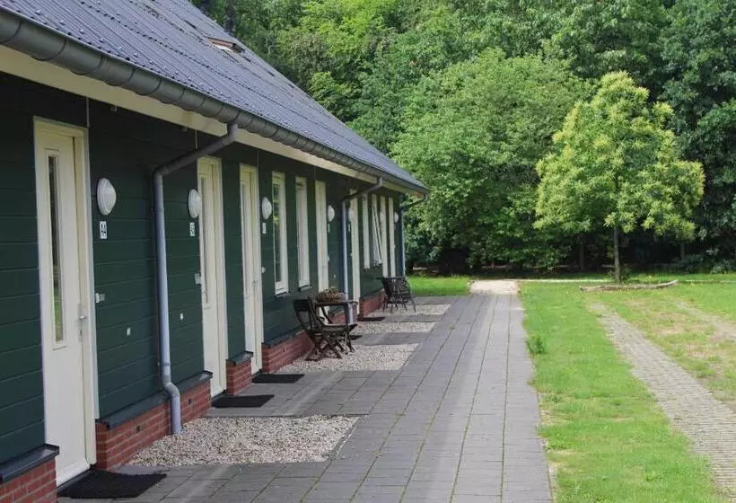 ホテル Horsetellerie Rheezerveen
