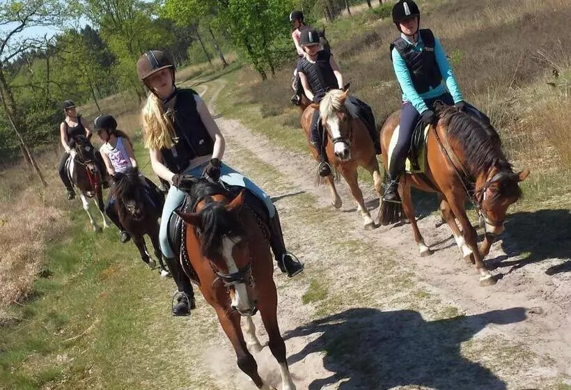 ホテル Horsetellerie Rheezerveen