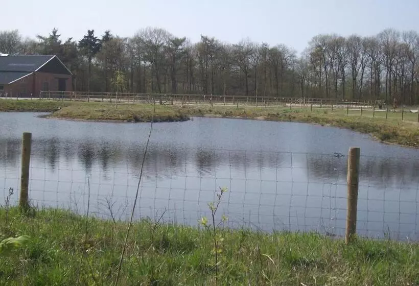 ホテル Horsetellerie Rheezerveen