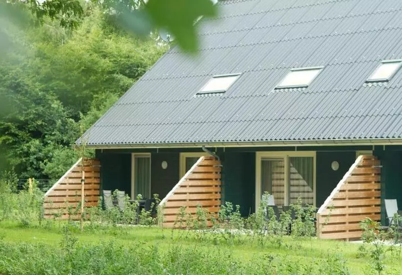 ホテル Horsetellerie Rheezerveen
