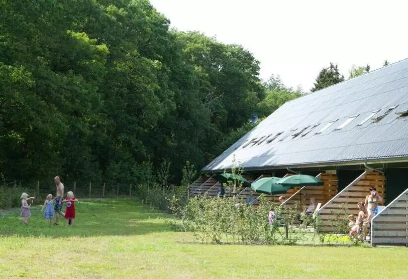 ホテル Horsetellerie Rheezerveen