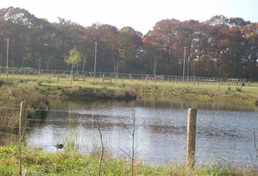 ホテル Horsetellerie Rheezerveen