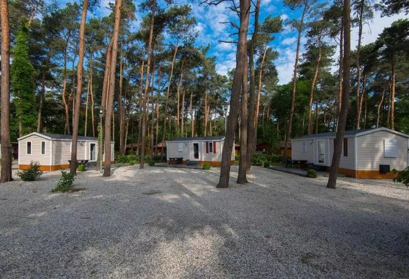 Motel Bungalow & Chaletpark De Brenkberg