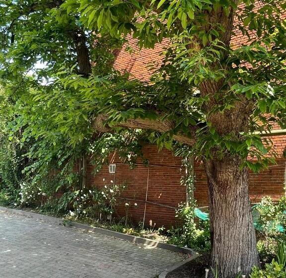 تختخواب و صبحانه De Wilden Ezel