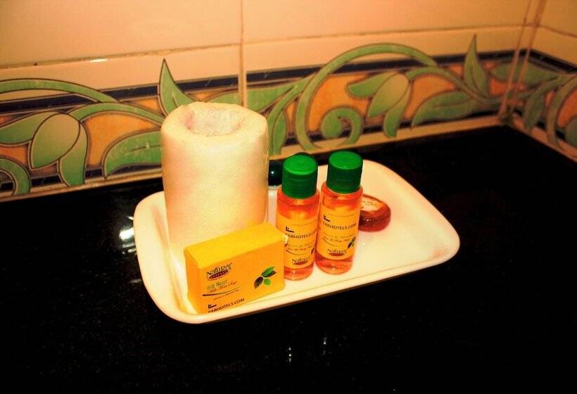 Fabhotel Lohgarh Inn