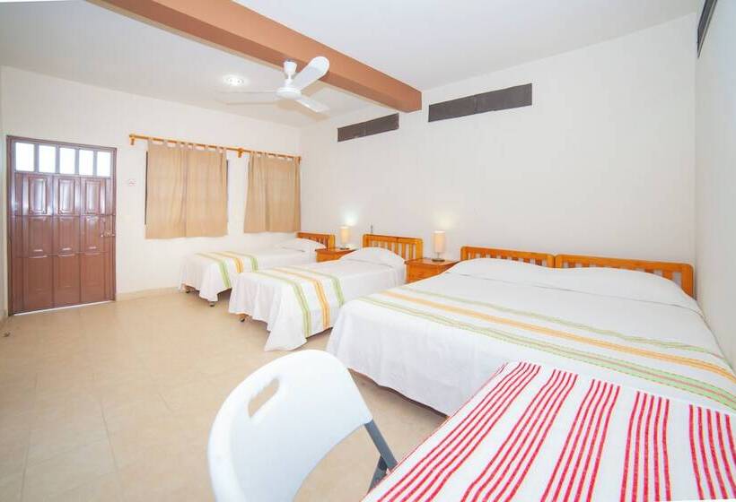 Bed and Breakfast Casa Rush