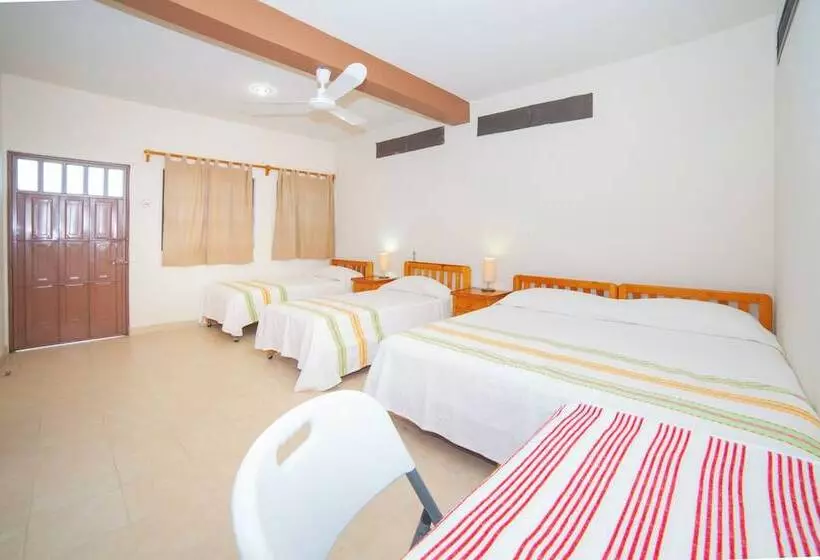 Aamiaismajoitus (B&B) Casa Rush