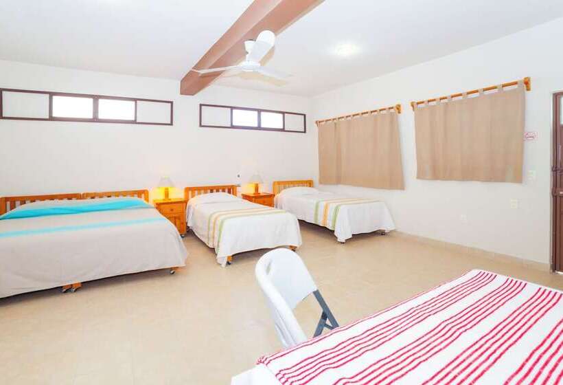 Bed and Breakfast Casa Rush