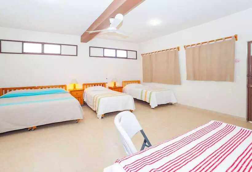 Aamiaismajoitus (B&B) Casa Rush