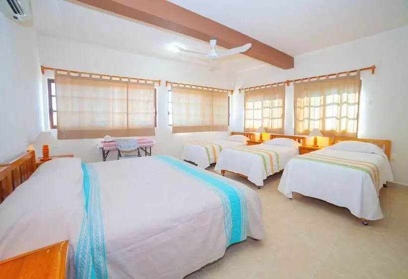 Aamiaismajoitus (B&B) Casa Rush