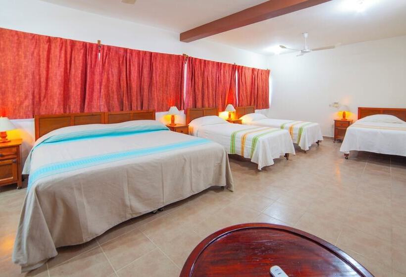 Bed and Breakfast Casa Rush