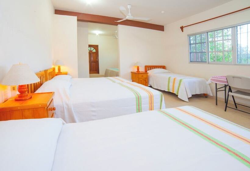 Bed and Breakfast Casa Rush