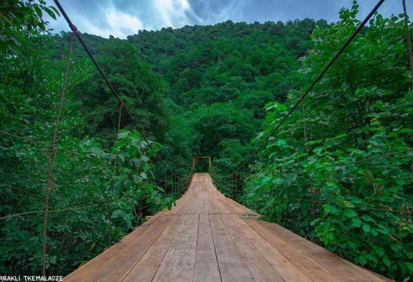 پانسیون Maskuri