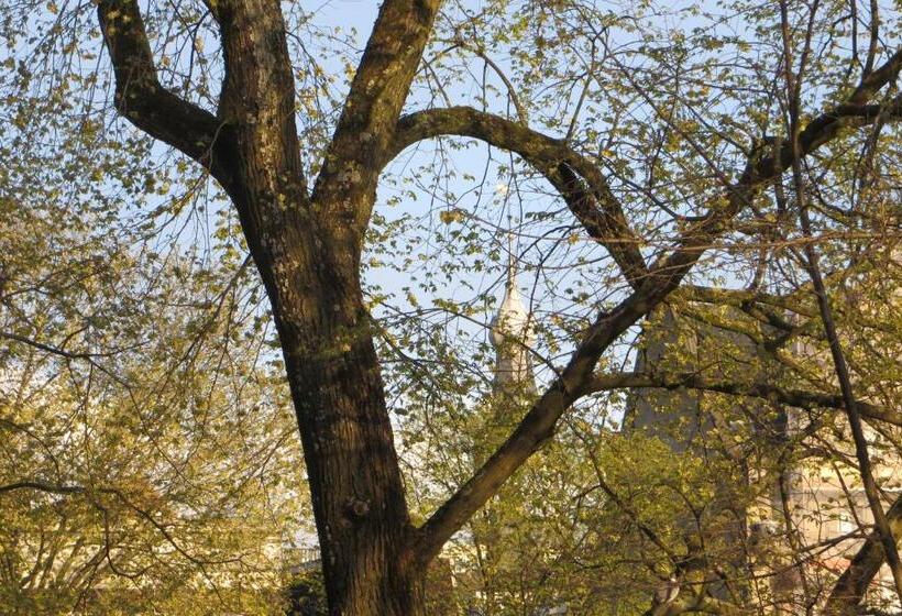 住宿加早餐  Casa Luna