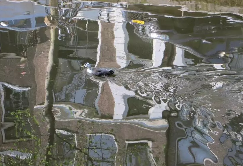 تختخواب و صبحانه Casa Luna