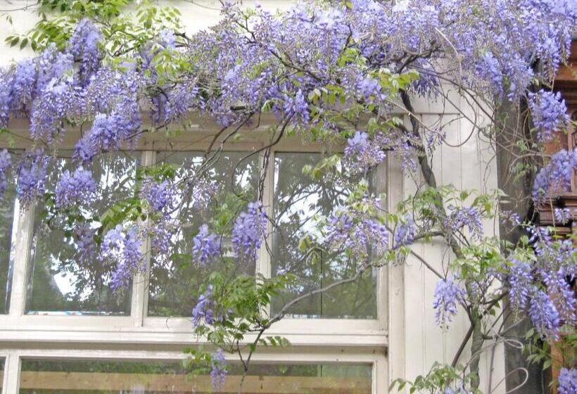 住宿加早餐  Casa Luna