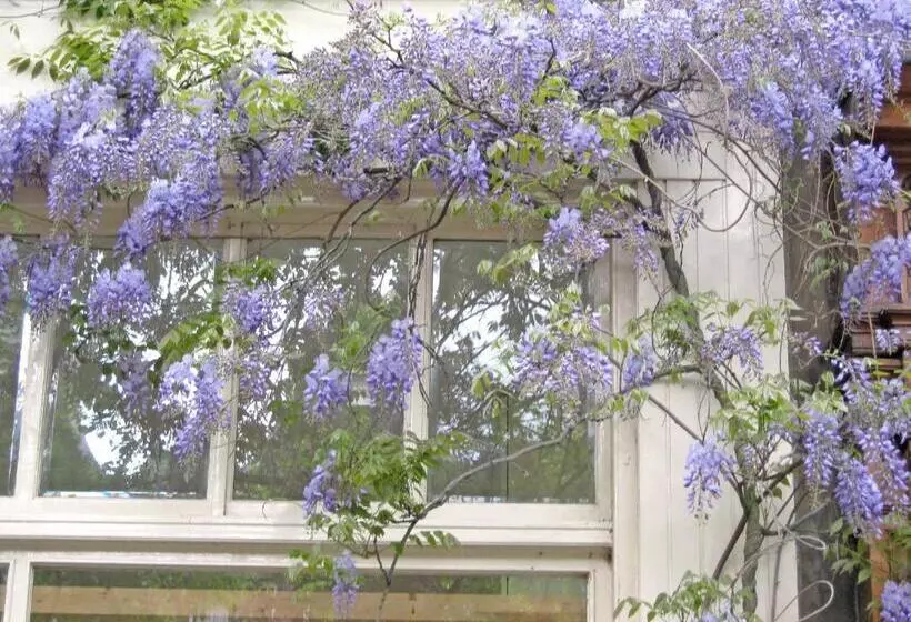 تختخواب و صبحانه Casa Luna