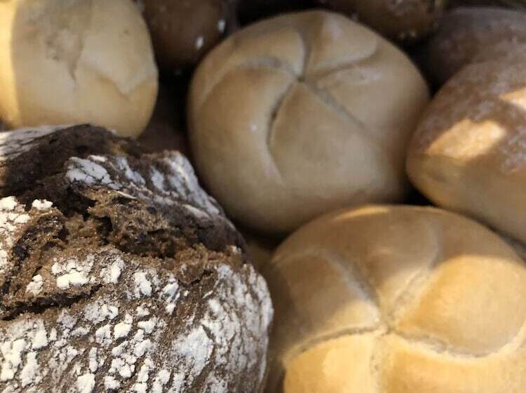 هتل Appartementen De Zwaluw