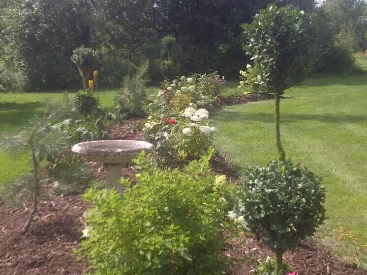 Briarwood Bed & Breakfast