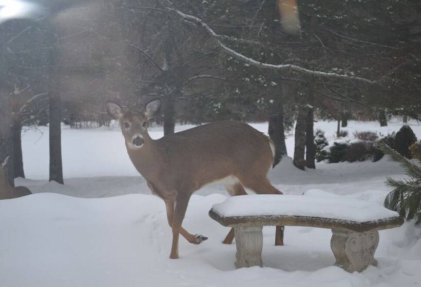 Briarwood Bed & Breakfast