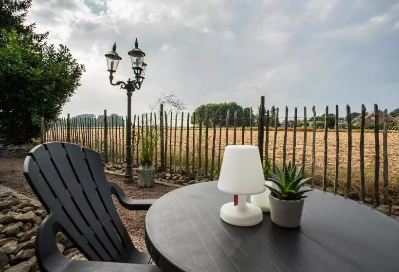 Hotelli Buxus