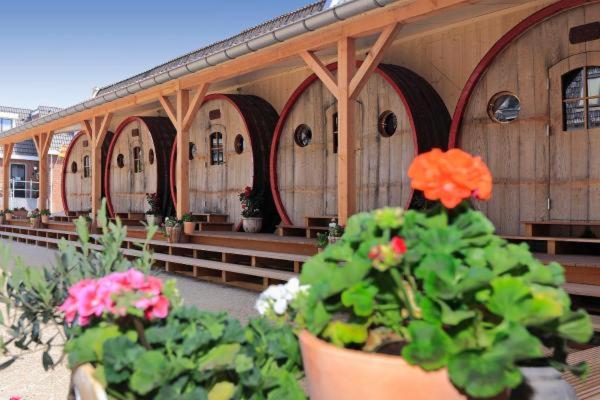 호텔 De Vrouwe Van Stavoren