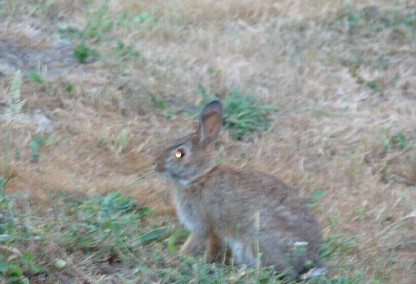 Hummers Haven Bed And Breakfast