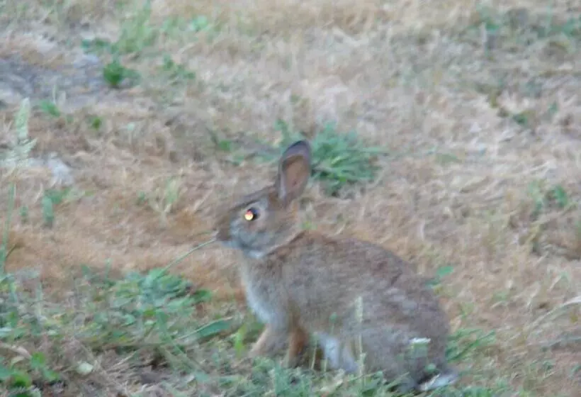 Hummers Haven Bed And Breakfast