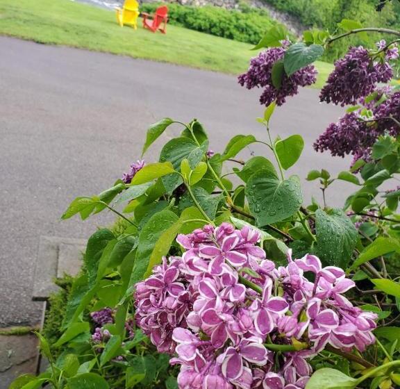 Motel Gentilhommière