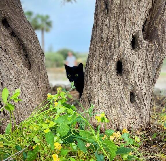 مبيت وإفطار Farfalla Blu