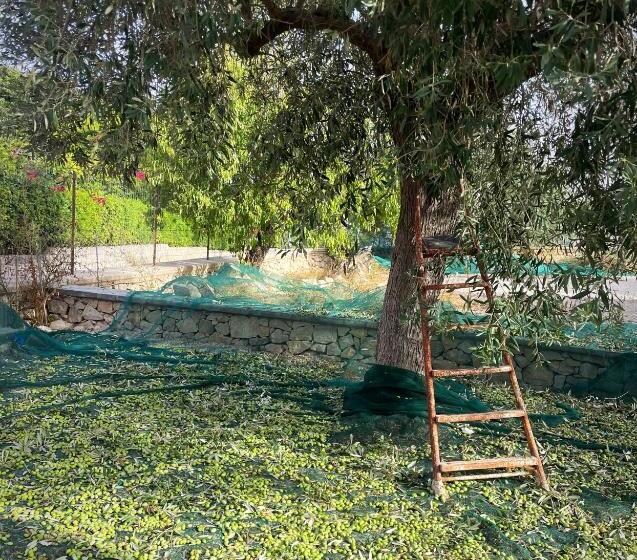 مبيت وإفطار Farfalla Blu