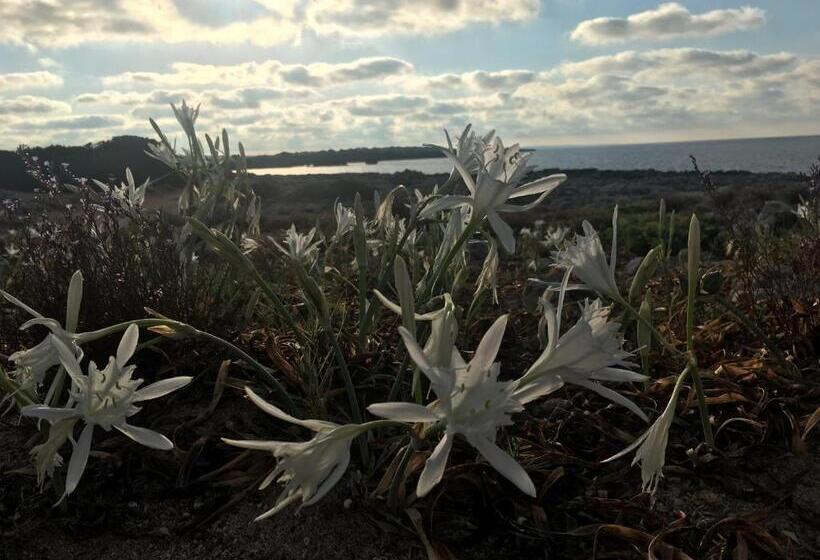 Hotelli 3a Ease Of Living