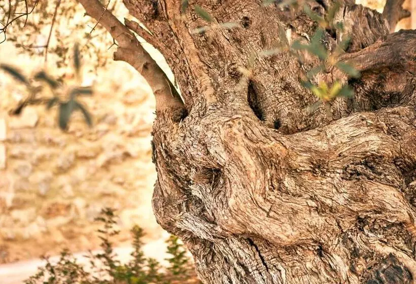 Hotelli Son Sabater By Zafiro