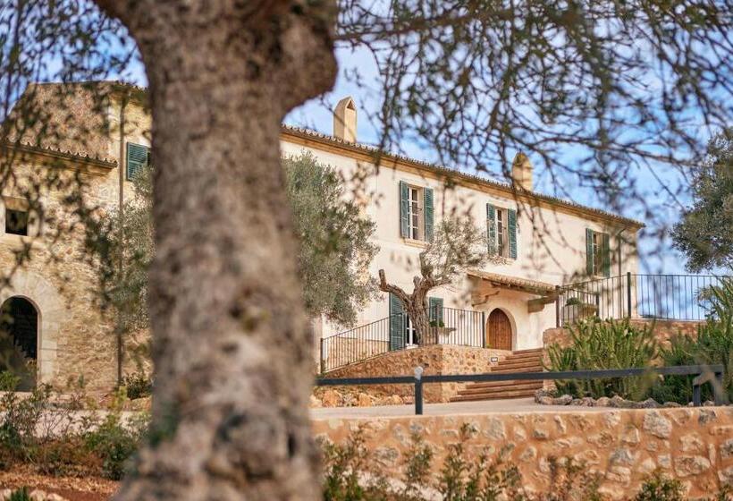 هتل Son Sabater By Zafiro