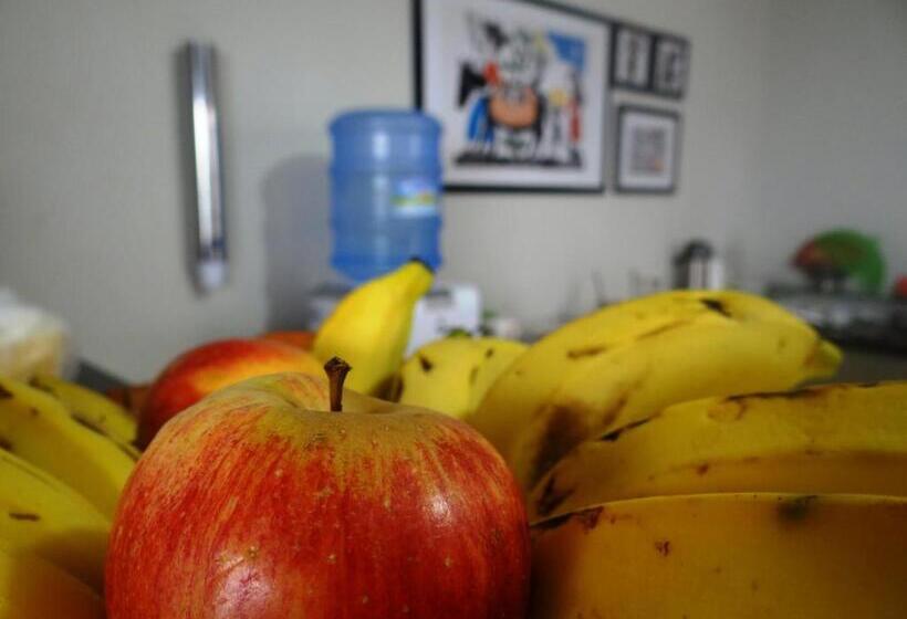 הוסטל Pousada Vó Otília