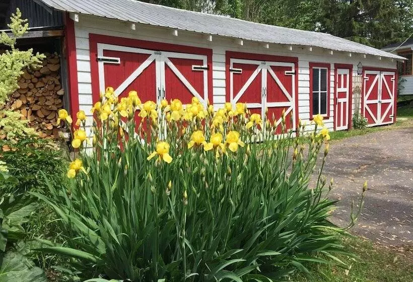 Bed and Breakfast Almatoit