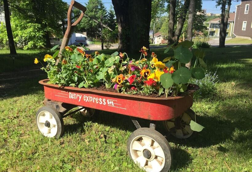 مبيت وإفطار Almatoit