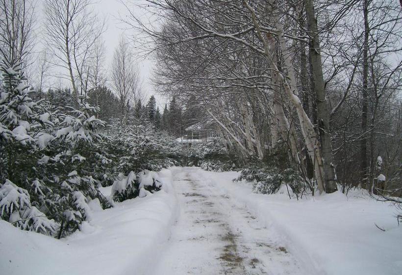 تختخواب و صبحانه Au Nidaigle