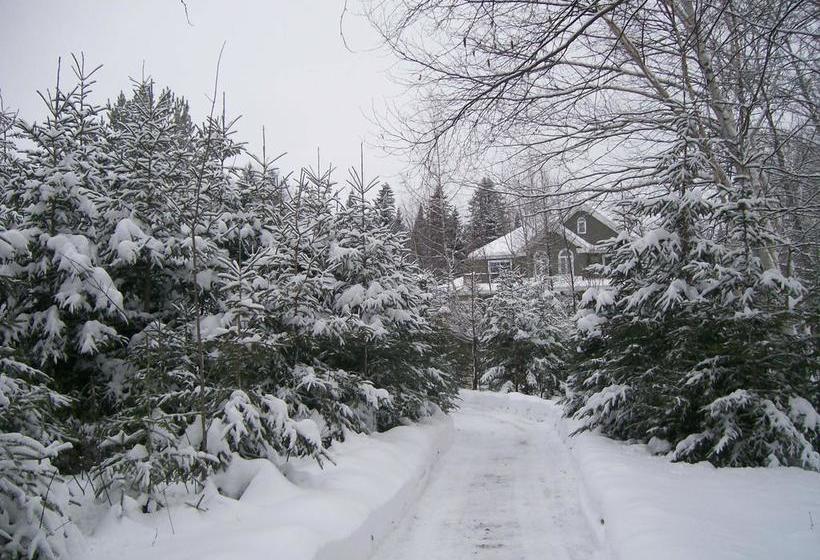 تختخواب و صبحانه Au Nidaigle