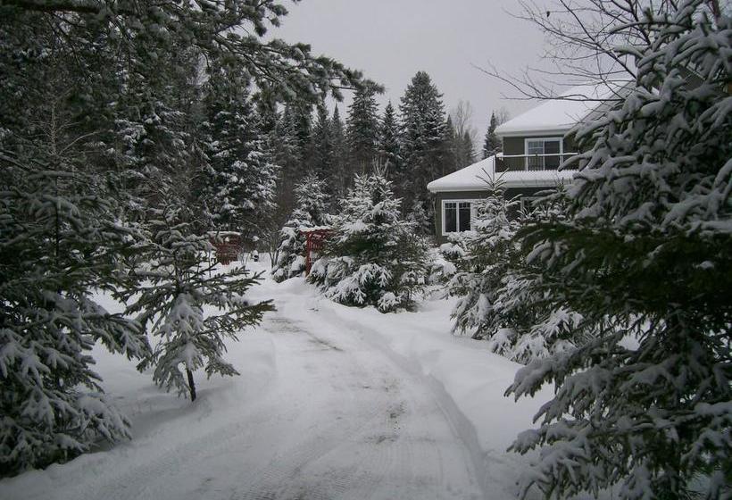 تختخواب و صبحانه Au Nidaigle